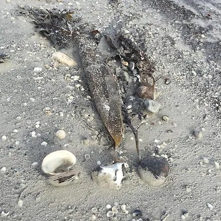 Havlund Hotel Grenå