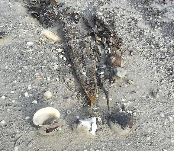 Havlund Hotel Grenå